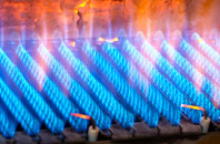 Twyning Green gas fired boilers